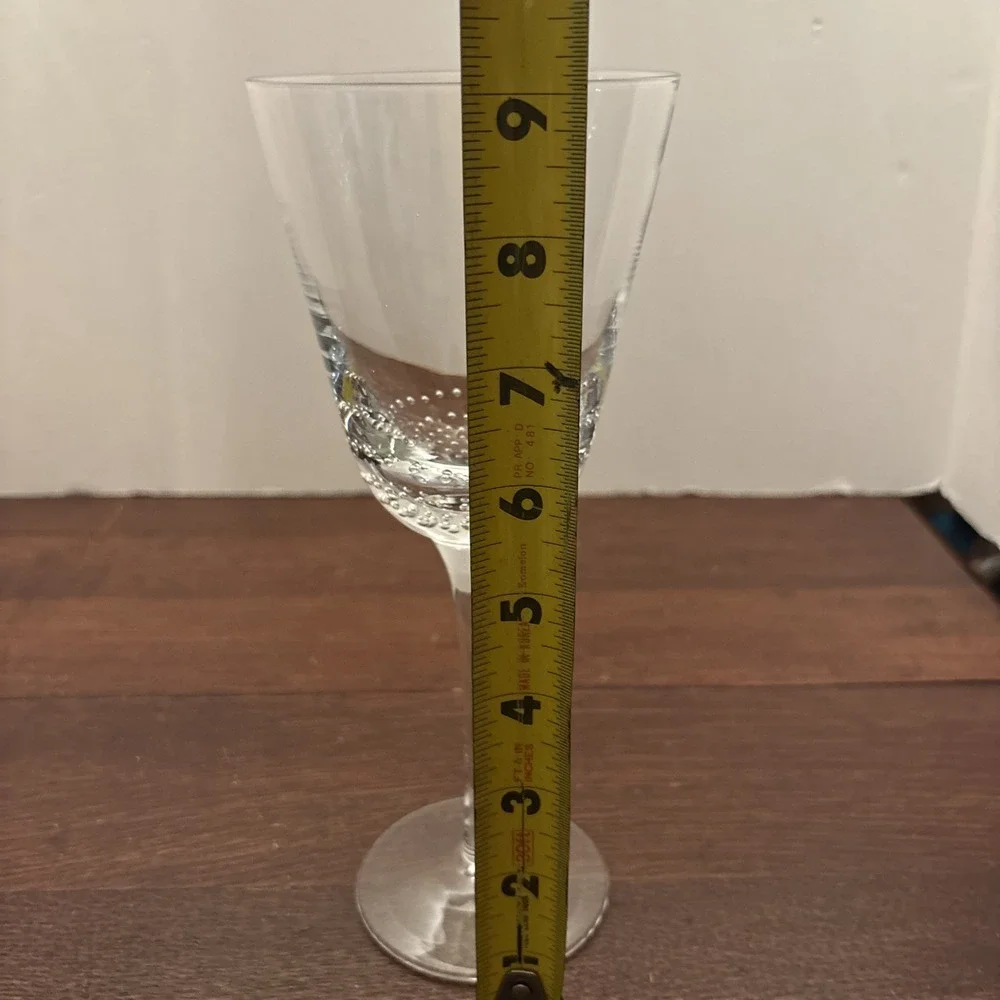 Pier 1 Bubbles Water Goblet 9 1/8